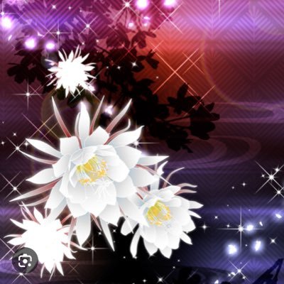 月下美人🌙🌸