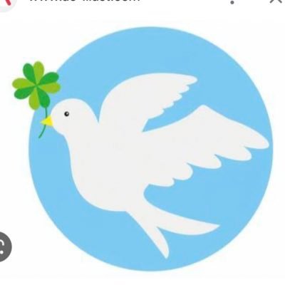 さちこ