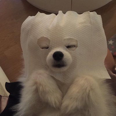 ⭐️