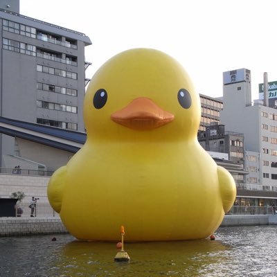 もふもふ @c_fay6