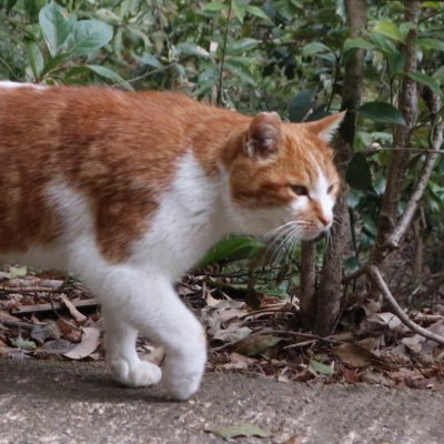 鬱屋のひとりごと。