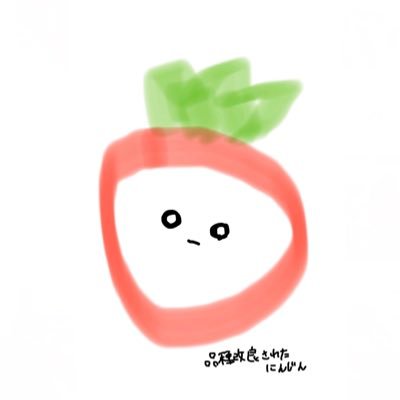 品種改良されたにんじん🥕