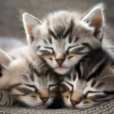 わたし👑💎🍯