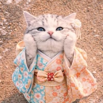 ️🩵️🩵芹香️⋆͛🦋⋆͛～next➸2/18氷川きよし明治座千秋楽🎶