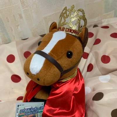 ちゃぼ (一口馬主デビュー)