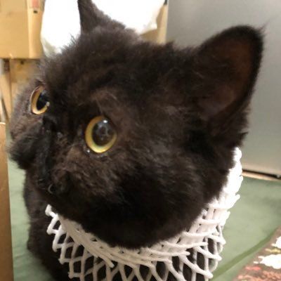 ちゃちゃっとまるっと