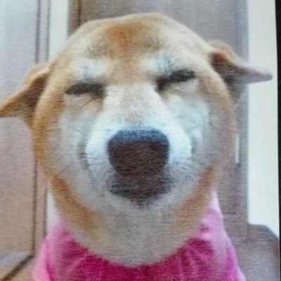 char-chan @charcha20151107