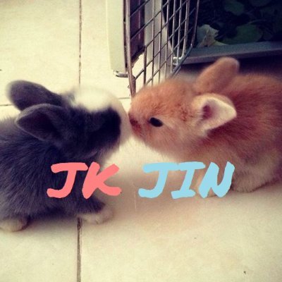 NOA【KKAN】🐹🐰