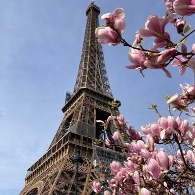 Chizu🧀📍🇫🇷