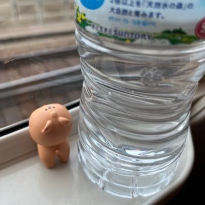 ちょりか🧭🐿️