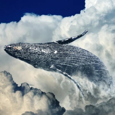 Cloudy Whale