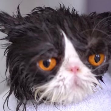 ゆう黒、No Music, No Life, Period.