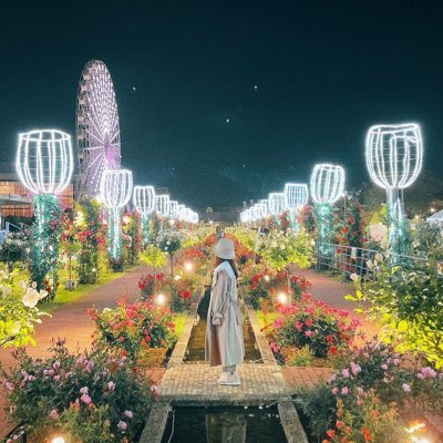 あめこ🍬🐱🌟📔🖋️