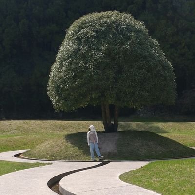 コッチ_663🕙𝕏