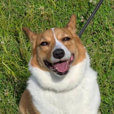 ここ丸