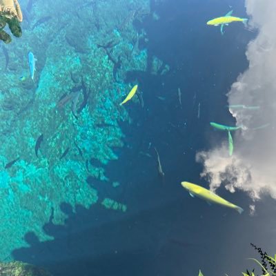 カンジャンケジャンじゃんけん負けじゃん