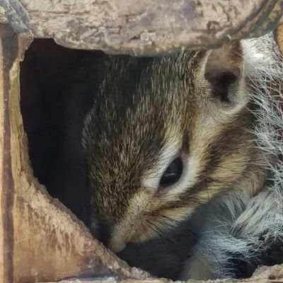 白煉〜なるように生きる。
