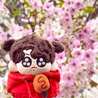 くみん‎🤍⟭⟬ᴱ ᴬᴿᴱ ᴮ⟬⟭ᶜᴷ