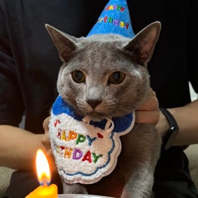 野条 大樹ｌDaiki Nojo