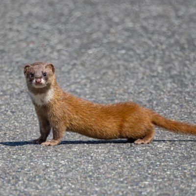 ♡D5こばやし♡