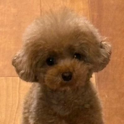 まろっち@あんこ