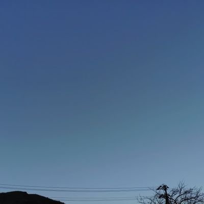 ブルーバードマキシマ