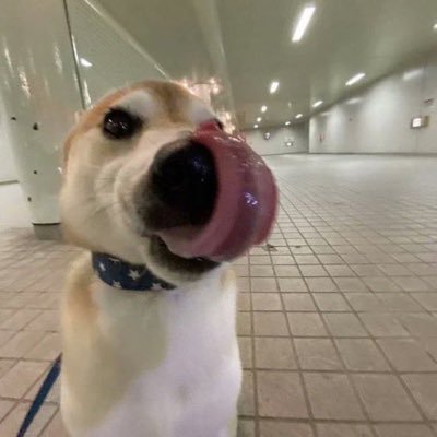 따식2