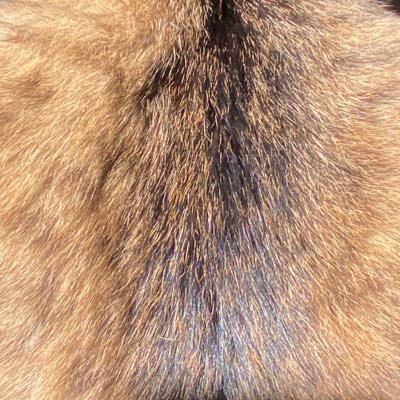 推し活の日々！！