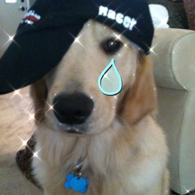 내려(상태: 나는 운이 좋았지...)