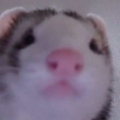 パティシエの息子