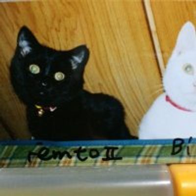 ブランフェムト