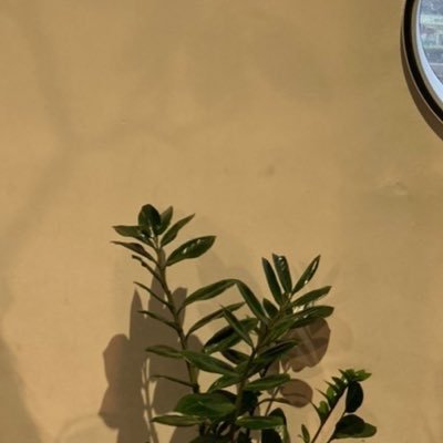 たまごかけごはん