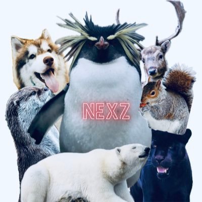 🥊ぽっちゃん🐧💋NEXZ