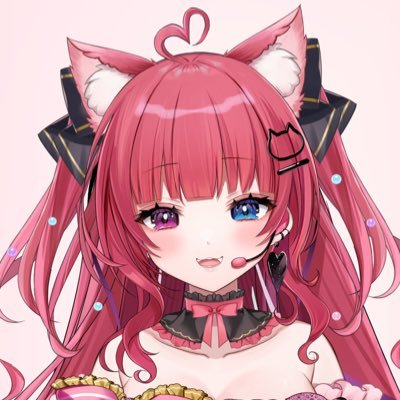 愛猫はにゃ🩷🐈🩵