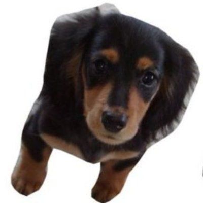 えんた(2)🪼😈🧡🦋🎀🤍❤️なのだ