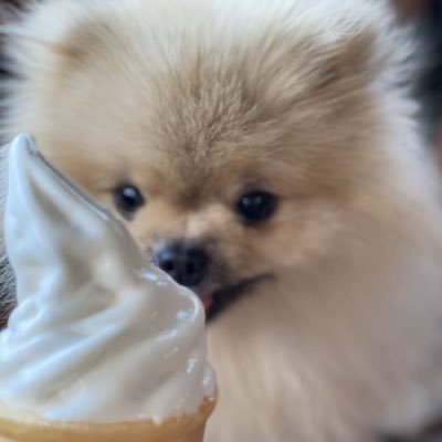 묵