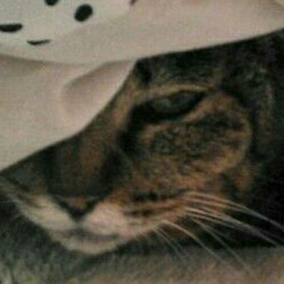 この街に恋をした