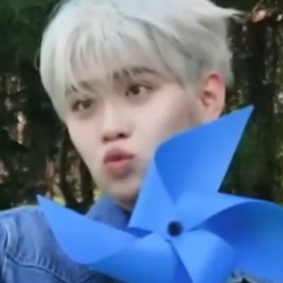 せんぷうきステへ