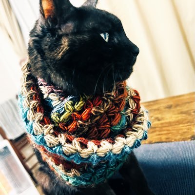 ༄☀︎ewichiえいち☺︎𓆜𓆛𓆝𓆞𓆜𓆟