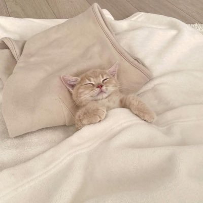 ぽ