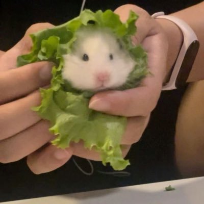 そら