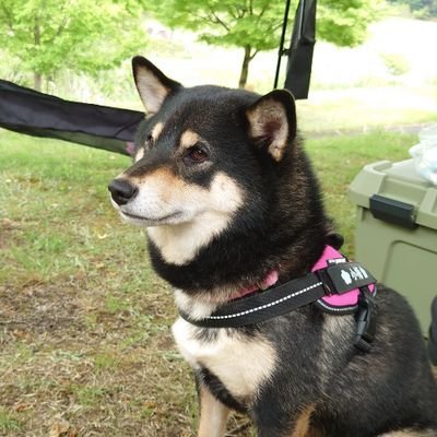 無名＠純白の憑依人