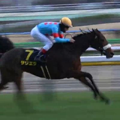 善子グヴァルディオル