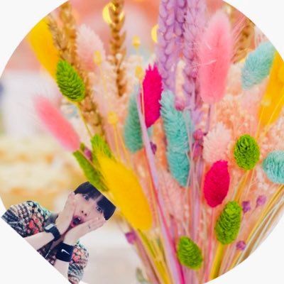 音🎶🌷