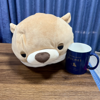 fugu🍓🪄☕️(MUZE)