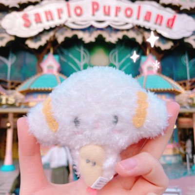 🦝ぱるぴん🔮