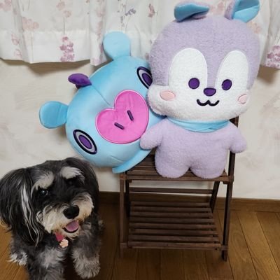 ふもみるぽん💚ミ𝒚𝒐𝒖'𝒓𝒆 𝒎𝒚 𝒉𝒐𝒑𝒆