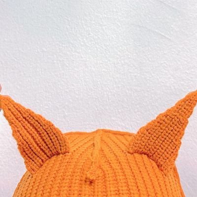 ことみ🦊🐻‍❄️