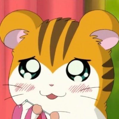 𝐒 🐯❤️