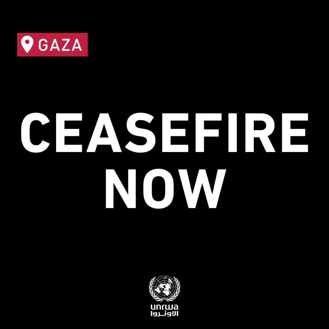 AMJ (Asian Mikan Juice)